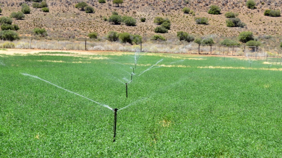 Commercial Property for Sale in Swellendam Rural Western Cape